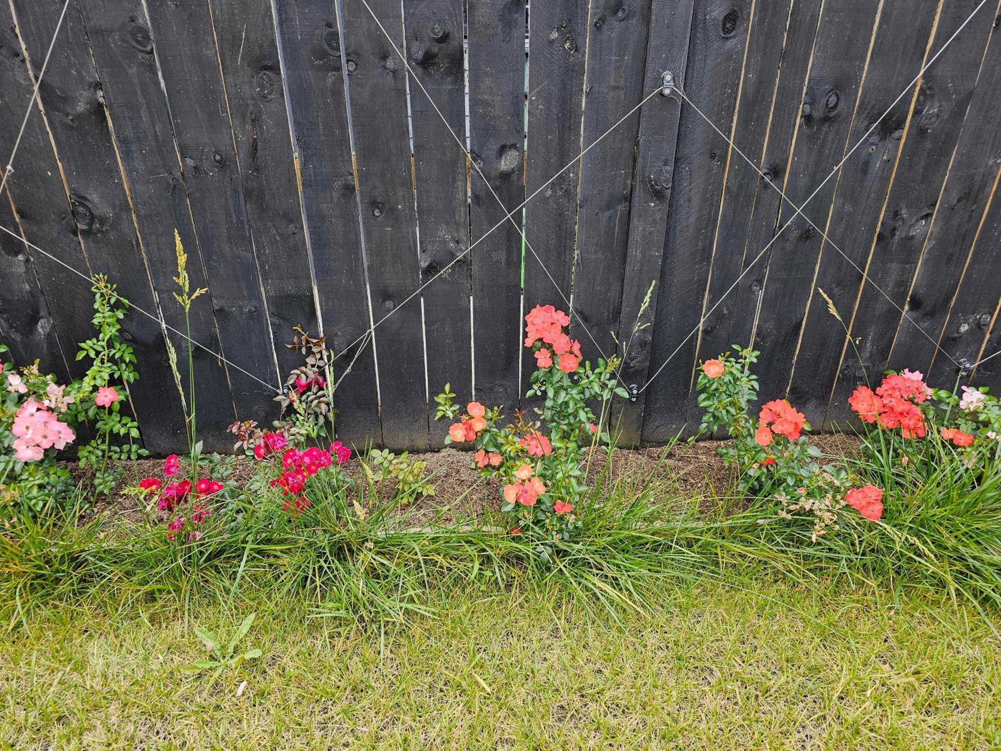 Tui Nest Garden Unit Appartement Silverdale Buitenkant foto